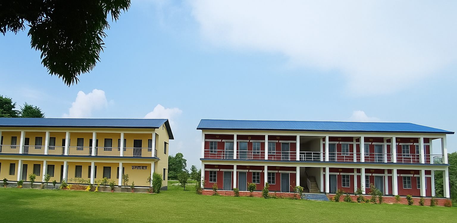 Slide Image